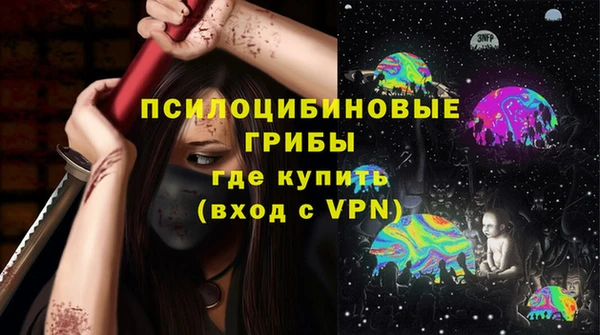 не бодяженный Арсеньев